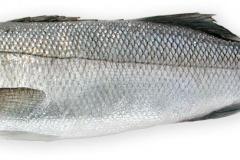 Fisk-bars_1000