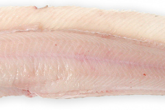 Fisk-havkat_flaet_1000