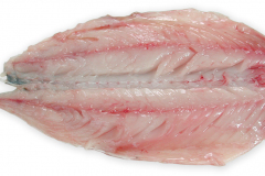 Fisk-makrel-fileter_1000