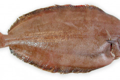 Fisk-skarising_1000