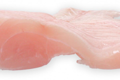 Fisk-victoriabars_tvarsnit_1000