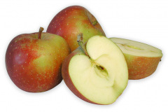 Frugt-able_belle_de_booskop_1000