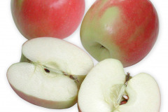 Frugt-able_cripps_pink_1000
