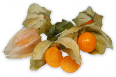 Frugt-ananaskirsebar_1000