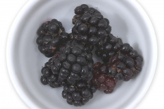 Frugt-bar_brombar_1000