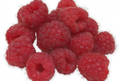 Frugt-bar_hindbar_1000