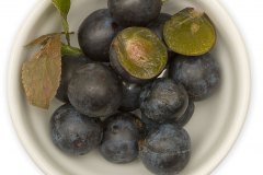 Frugt-bar_slaen_1000