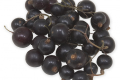 Frugt-bar_solbar_1000