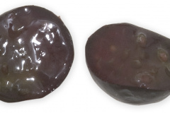 Frugt-bar_solbar_snit_1000