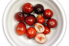 Frugt-bar_tranebar_1000