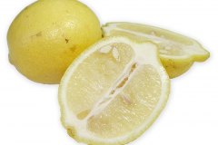 Frugt-citrus_citron_1000