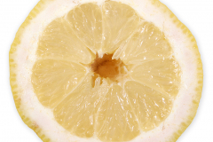 Frugt-citrus_citron_tvarsnit_1000