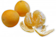 Frugt-clementin_1000