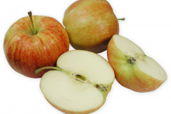 Frugt-jonagold_1000