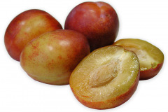 Frugt-jubileum_1000