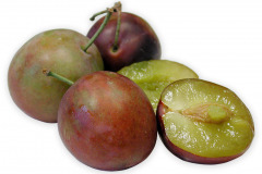 Frugt-kirkes_1000