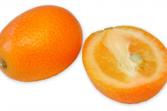 Frugt-kumquat_1000