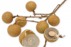 Frugt-longan_1000