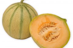 Frugt-melon_charentais_1000