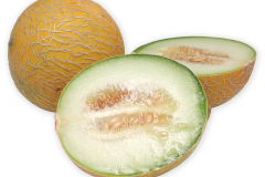 Frugt-melon_galia_1000