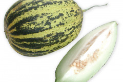 Frugt-melon_tyrkisk_1000