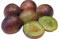 Frugt-noahs_1000