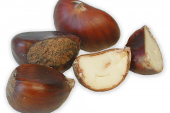 Frugt-nod_kastanje_1000