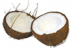 Frugt-nod_kokosnod_1000