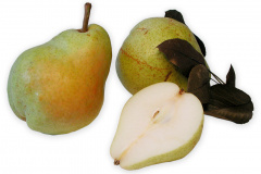 Frugt-pare_williams_1000