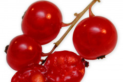 Frugt-ribs_close_1000
