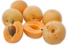 Frugt-stenfrugt_abrikos_1000