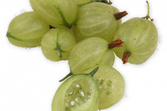 Frugt-stikkelsbar_gronne_1000