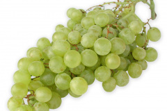 Frugt-vindruer_gronne_1000